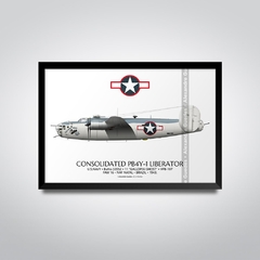 CONSOLIDATED PB4Y-1 LIBERATOR, US - GALLOPIN GHOST - buy online