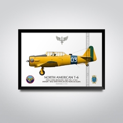 NORTH AMERICAN T-6, FAB 1703, 2ª ELO - buy online