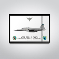 NORTHROP F-5F TIGER II, FAB 4806, 1º/14º GAV - buy online