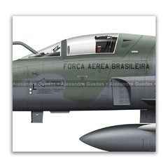 Northrop F-5EM Tiger II, FAB 4876, 1º GAVCA en internet