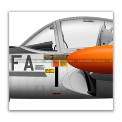 CESSNA T-37C, FAB 0875 on internet