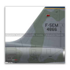 Northrop F-5EM Tiger II, FAB 4866, 1º GAVCA - Art In Profiles | Posters, Livros e Ilustrações sobre Aviação