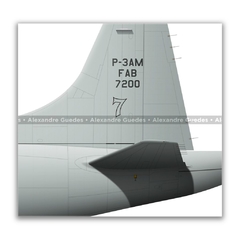 LOCKHEED P-3AM ORION, FAB 7200, 1º/7º GAV - Art In Profiles | Posters, Livros e Ilustrações sobre Aviação