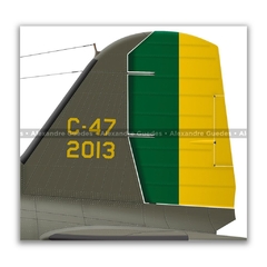 DOUGLAS C-47A SKYTRAIN, FAB 2013 - Art In Profiles | Posters, Livros e Ilustrações sobre Aviação