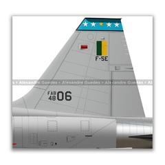 NORTHROP F-5F TIGER II, FAB 4806, 1º/14º GAV - Art In Profiles | Posters, Livros e Ilustrações sobre Aviação