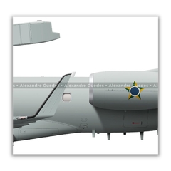 EMBRAER E-99, FAB 6701, 2º/6º GAV - Art In Profiles | Posters, Livros e Ilustrações sobre Aviação