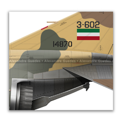 MCDONNELL DOUGLAS F-4D PHANTOM II, IIAF, 14870, 7th TFB. - online store