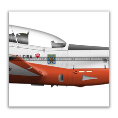 Embraer T-27 Tucano, FAB 1431, AFA - Segunda Pintura na internet