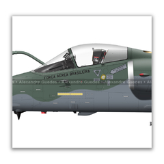 AERONAVES AMX INTERNATIONAL A-1 / A-1A / A-1M • 3/10 GAV - ESQUADRÃO CENTAURO • FAB - Art In Profiles | Posters, Livros e Ilustrações sobre Aviação