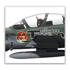 Embraer A-29B Super Tucano, Pinturas Comemorativas da FAB