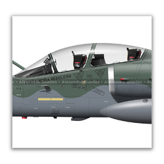 AERONAVES AMX INTERNATIONAL A-1B / A-1BM • 1/16 GAV - ESQUADRÃO ADELPHI • FAB - loja online