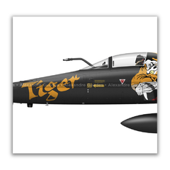 NORTHROP F-5E/M TIGER II AIRCRAFT WITH FAB COMMEMORATIVE PAINTINGS. - online store