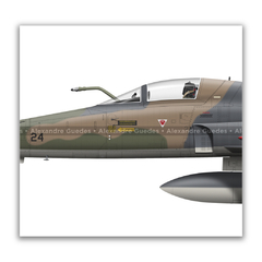 NORTHROP F-5E/M TIGER II AIRCRAFT • 1 GAVCA - JAMBOCK SQUADRON • FAB - online store