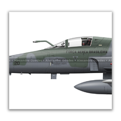 Imagem do AERONAVES NORTHROP F-5E/M TIGER II • 1 GAVCA - ESQUADRÃO JAMBOCK • FAB