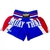 Shorts Muay Thai Kick Boxing Thailand - Rythmoon