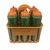 Kit Porta Squeeze Laranja com 6 Squeeze s/ logo verde laranja Rythmoon