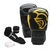 Kit Boxe Luva Pretorian Black Line 16OZ Bucal e Bandagem - loja online