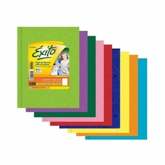 CUADERNO EXITO 19X24 E3 T/D X 48H RAY