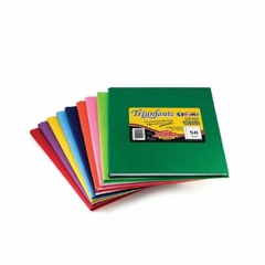 CUADERNO TRIUNFANTE 19X24 T/D X 100HJS =