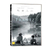 DVD - FRANTZ