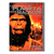 DVD - A Conquista do Planeta dos Macacos