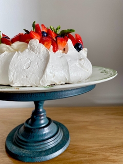 Pavlova en internet