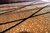 RAYZA rug Monterey Carmel Antika Redondo 200 cm