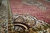 RAYZA rug Marbella Nuance Miracle Aubusson Rose 250x300 cm - Rayza Tapetes e Linhas