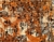 Passadeira RAYZA Marbella Elite Orion Borealis 060x230 cm - Rayza Tapetes e Linhas