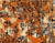 Image of RAYZA rug Marbella Elite Orion Borealis Redondo 200 cm