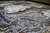 RAYZA rug Montana Lascaux des. Mysterie 050 x 090 cm on internet