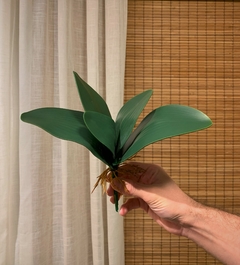 Folha de Orquídea Moeda Artificial