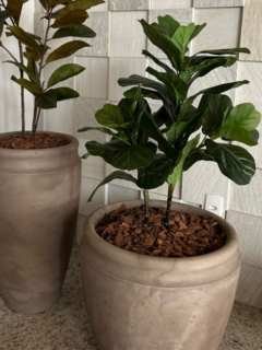 Imagem do Ficus Lyrata Artificial 95cm