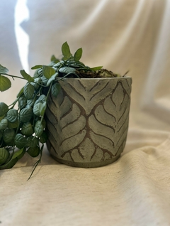 Vaso Verde em Cimento com Folhagem Pendente Verde em Silicone - comprar online