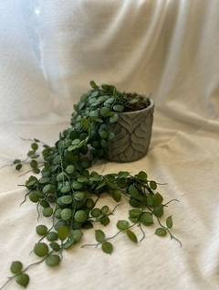 Vaso Verde em Cimento com Folhagem Pendente Verde em Silicone