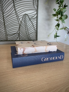 Caixa Livro Greyhound