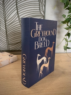 Caixa Livro Greyhound - loja online