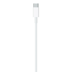 Cable Apple USB-C to Lightning Original (1 m) en internet