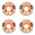 Oj Wheels Plain Jane Jungle Keyframe White 54mm 92a - comprar en línea