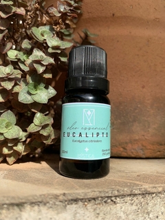 Óleo essencial 10ml Eucalipto - Mística