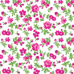 Viés Tijuca Fino Floral Pink (24mm) - comprar online