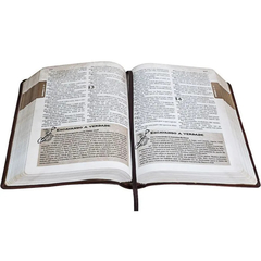 Bíblia Das Descobertas Para Adolescentes | NTLH - comprar online
