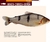 Peixes comerciais de Manaus - comprar online