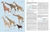 Handbook of the Mammals of the World – Volume 2 Hoofed Mammals - comprar online