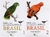 Guia Completo para Identificação das Aves do Brasil (2 Volumes) Rolf Grantsau
