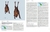 Handbook of the Mammals of the World, Volume 9: Bats - comprar online