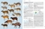 Handbook of the Mammals of the World – Volume 2 Hoofed Mammals na internet