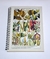 Caderno Botânica 3 - comprar online