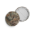 Button Kunstformen der Natur Haeckel - Lagartos - comprar online