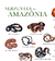 Serpentes da Amazônia - Pôster - comprar online